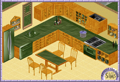 Around the Sims