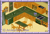 Around the Sims