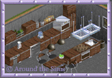 Around the Sims