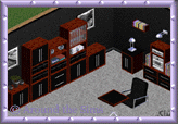 Around the Sims