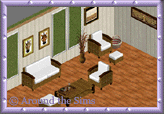 Around the Sims