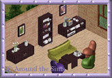 Around the Sims