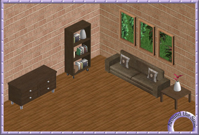 Around the Sims