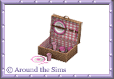 Around the Sims
