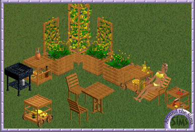Around the Sims