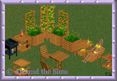 Around the Sims