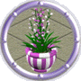 Around the Sims
