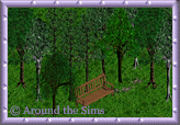 Around the Sims