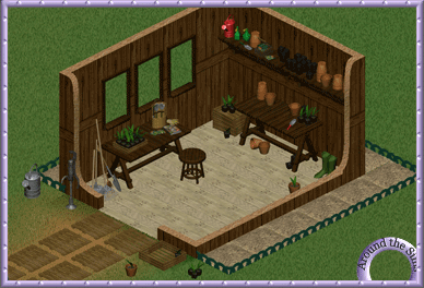 Around the Sims