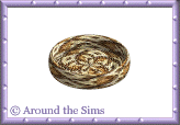 Around the Sims