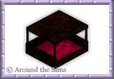 Around the Sims