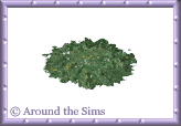 Around the Sims