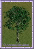 Around the Sims