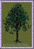 Around the Sims