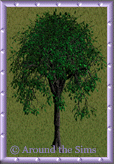 Around the Sims