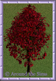 Around the Sims