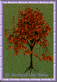 Around the Sims