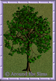 Around the Sims