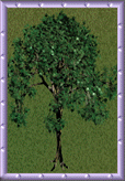 Around the Sims