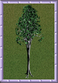 Around the Sims