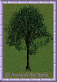 Around the Sims