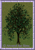 Around the Sims