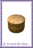 Around the Sims