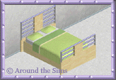 Around the Sims