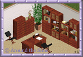 Around the Sims