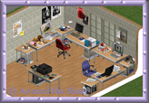 Around the Sims