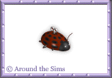 Around the Sims