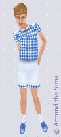 Around the Sims