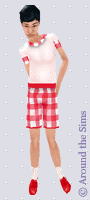 Around the Sims