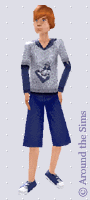 Around the Sims