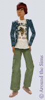 Around the Sims