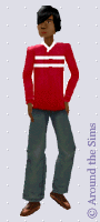 Around the Sims