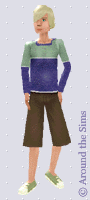 Around the Sims