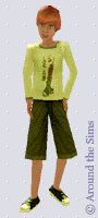 Around the Sims