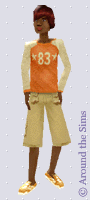 Around the Sims