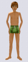 Around the Sims