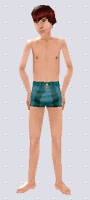Around the Sims