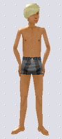 Around the Sims