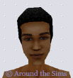 Around the Sims
