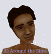Around the Sims