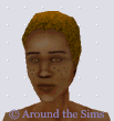 Around the Sims