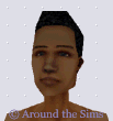 Around the Sims