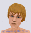 Around the Sims