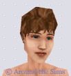 Around the Sims
