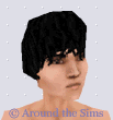 Around the Sims