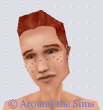 Around the Sims